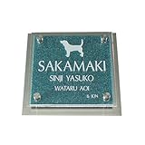 ステンレス表札＋クリアプレート クリアアレンジミカゲグリーン 150mm角