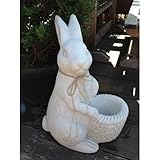 野川農園うさぎポットA