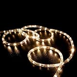 WYZworks 25' feet Warm White 3/8" LED Rope Lights - Crystal Clear PVC Tube IP65 Water Resistant Flex