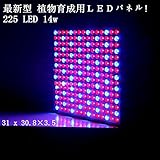 ed植物育成　植物育成ライト 水耕栽培 植物育成LED 植物育成パネル 水耕栽培ランプ 植物育成 パネルライト ハイドロカルチャーランプ 園芸