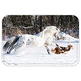 vroselvカスタムドアmatanimal DecorコレクションLegendary Appaloosa Pony and Sableボーダーコリーrungallop in冬Fast charact