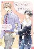 兄から先に進めない (新書館ディアプラス文庫 578)