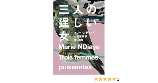 三人の逞しい女 Ndiaye Marie ンディアイ マリー 正嗣 小野 本 通販 Amazon