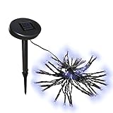 ALEKO 50 LED Solar Powered White Christmas Holiday String Lights Lot of 4 [並行輸入品]