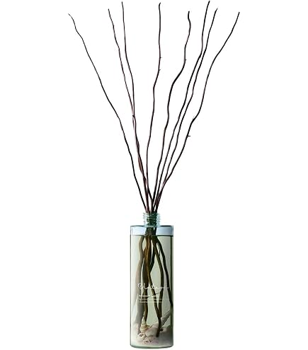 Amazon.co.jp: ILUM スタンダードディフューザー COLOGNE RETRO 500mL