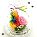 【高級プリザーブドフラワーギフト】ハイブリットレインボーローズ×レインボーチューリップ×ピンクローズ　ガラス　プチドーム