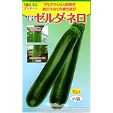 【種子】 ズッキーニ ゼルダ・ネロ 小袋 トキタ種苗のタネ　期限切れ（2023年10月）間近のため売り尽くしセール！