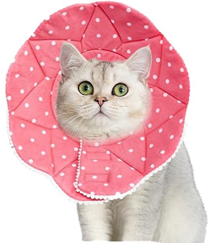 Amazon | 【サンフラワーカラー】 猫 エリザベスカラー 柔らかい