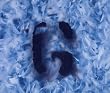 Milk 2 [Single-CD]
