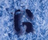 Milk 2 [Single-CD]