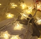 fino creare イルミネーションライト ガーデンライト 星 型 50LED led 結婚式 クリスマス 屋外 全長６m 単三電池 式 (暖白)