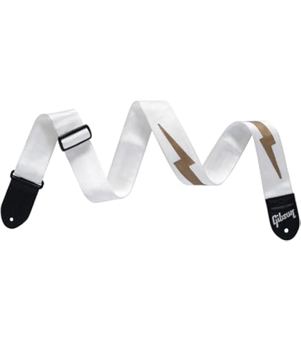 Amazon | ギブソン GIBSON ASGG-600 2