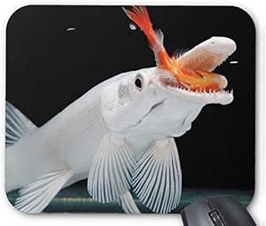 Amazon Co Jp プラチナアリゲーターガーのマウスパッド フォトパッド 世界の熱帯魚シリーズ パソコン 周辺機器 Amazon Co Jp プラチナアリゲーターガーのマウスパッド フォトパッド 世界の熱帯魚シリーズ パソコン 周辺機器