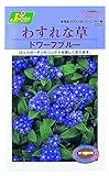 カネコ種苗 草花タネ262 わすれな草 ドワーフブルー 10袋セット