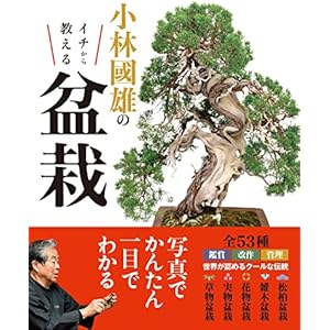 小林國雄のイチから教える盆栽の表紙