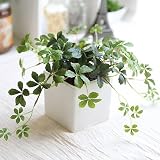 L.シサスアイビー シュガーバイン 消臭◎CT触媒加工 造花 観葉植物