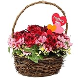 母の日 お花バスケット造花 母の日パッケージでプレゼントに最適 花 ギフト プレゼント 誕生日プレゼント 発表会 贈り物 母の日 早割/母の日 プレゼント/母の日ギフト/母の日ギフト/母の日 花/母の
