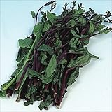 【メール便配送】　国華園　野菜たね　菜類　ツルムラサキ　紫茎　1袋(4ml)【※発送が国華園からの場合のみ正規品です】