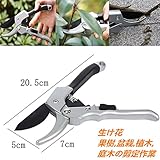 剪定鋏 園芸専用 はさみ 果樹 庭木　剪定道具 植木のお手入れ　SK-5スチール刃