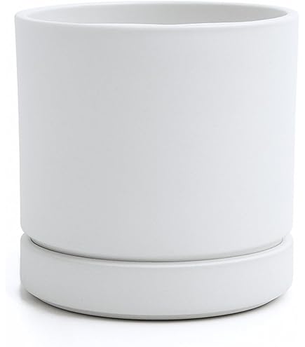 G-DRAGON Übermensch 展示会 ペンライト 植木鉢 セット Amazon.co.jp: G-DRAGON Übermensch 展示会 ペンライト 植木鉢