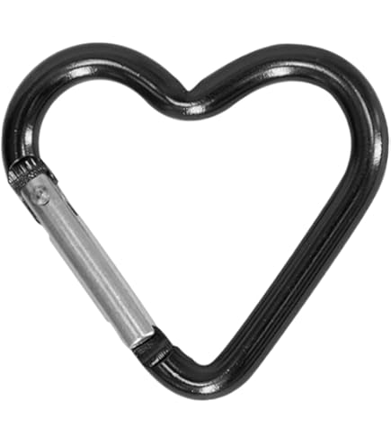 Amazon.co.jp: Swing カラビナ キーホルダー カラフルカラビナ