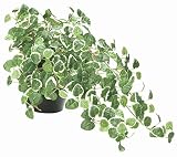 観葉植物 造花 「プミラ 25cm」 光触媒(空気清浄) インテリアグリーン 鉢植え