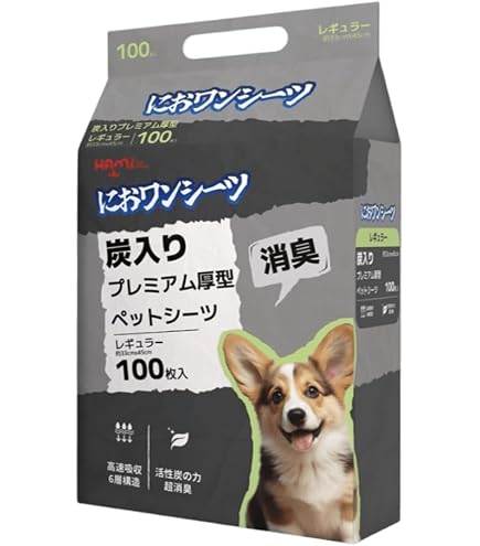 Amazon.co.jp: クリーンワン 消臭炭シート ダブルストップ レギュラー