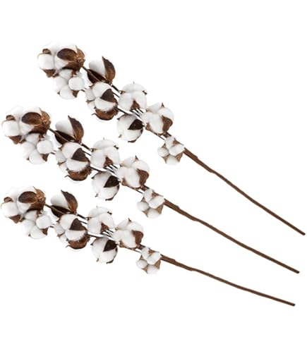 ナンキンハゼの実。オーダー専用。2025.初物。素材パーツ。スワッグ。 ナンキンハゼの実。2025.初物。7本。素材パーツ。スワッグ。 - メルカリ