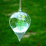 SHINA 2個セット 円錐 ハンギング ガラス 花瓶 水栽培ポット 観葉植物 水耕栽培植物 ホームデコレーション