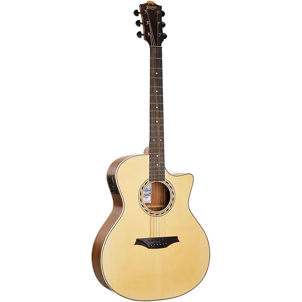 Amazon.co.jp: Bromo Guitars ブロモギターズ BAT4CE TAHOMA SERIES