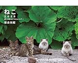 2026 岩合光昭 ねこ 卓上週めくりカレンダー ([カレンダー])