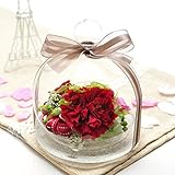 プリザーブドフラワー 花花 アンジーの庭 カーネーション (ガラスドーム 入り) お祝い プチギフト プレゼント ギフト (チェリー レッド)