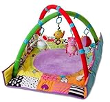 Taf Toys Newborn Gym by Taf Toys [並行輸入品]