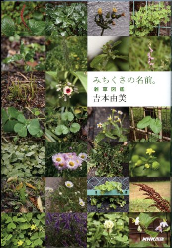 雑草について書かれた本を読みました 吉本由美 みちくさの名前 雑草図鑑 多田多恵子 大作晃一 美しき小さな雑草の花図鑑 唐桃の読んだもの