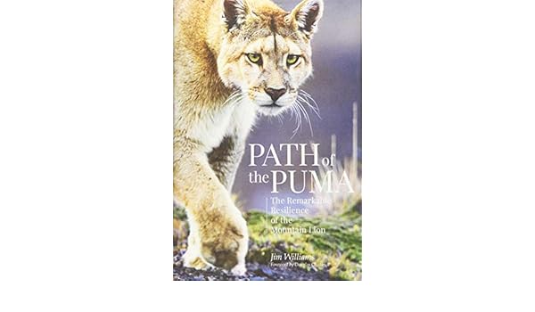 eastern puma territory