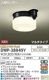 大光電機　LED人感センサー付アウトドアライト 【DWP-38849Y】