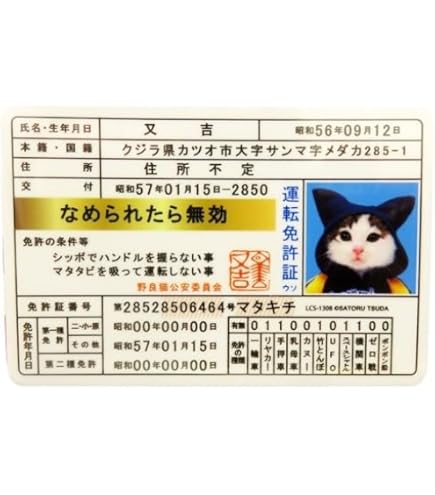Amazon.co.jp: なめ猫 免許証04 みけ子 キャラクターステッカー 懐かし