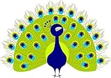 Wallmonkeys Wall Decals FOT-44392136-24 Not Applicable Wallmonkeys Wm73005 Peacock Cartoon Peel & St