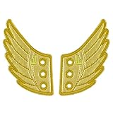 Shwings Shoe Accessories: Gold Foil Wings