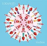 Labyrinth�`�C�`�S�P�̗������`(Type-B)