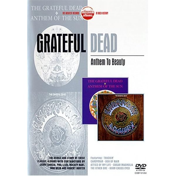 Grateful Dead グレイトフル・デッド DVD 2本セット グレイトフル・デッド DVD14枚組ボックスセット『All The Years