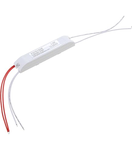 Amazon | 岩崎 水銀灯用安定器（100V用、一般形、1灯用、高力率