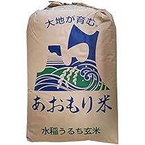 み*ん様 令和6年産　水稲うるち玄米　星空舞　保有米　30kg ネ*ネ様 令和6年産 水稲うるち玄米 星空舞 30kg 保有米