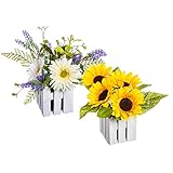 CypressホームひまわりとGerber Daisy inホワイトフェンスポット、セットの2