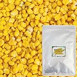 乾燥野菜 乾燥 とうもろこし 【粒カット品)】(契約栽培) フリーズドライ製法 乾燥コーン (100ｇ)
