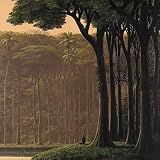 NATURA SONORA (ナトゥラ・ソノラ)