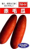 フタバ種苗 沖縄 赤毛瓜 種・小袋詰(5ml)