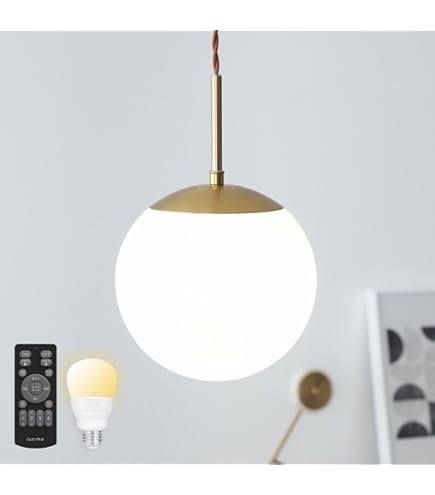 Amazon | ENDO LEDシーリングダウンライト 配線ダクトレール用 