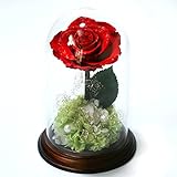 Makefuture プリザーブドフラワー ギフト ダイヤモンドローズ プリンセスフルール プロポーズ 一輪 薔薇 (ブライトレッド)