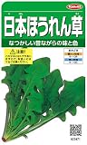 サカタのタネ 実咲野菜3471 日本ほうれん草 00923471